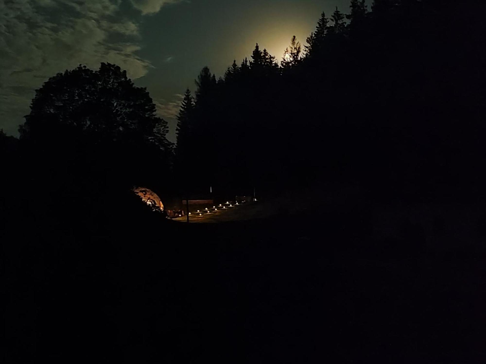 Hotel Forrest Glamp Mieroszow Exterior foto